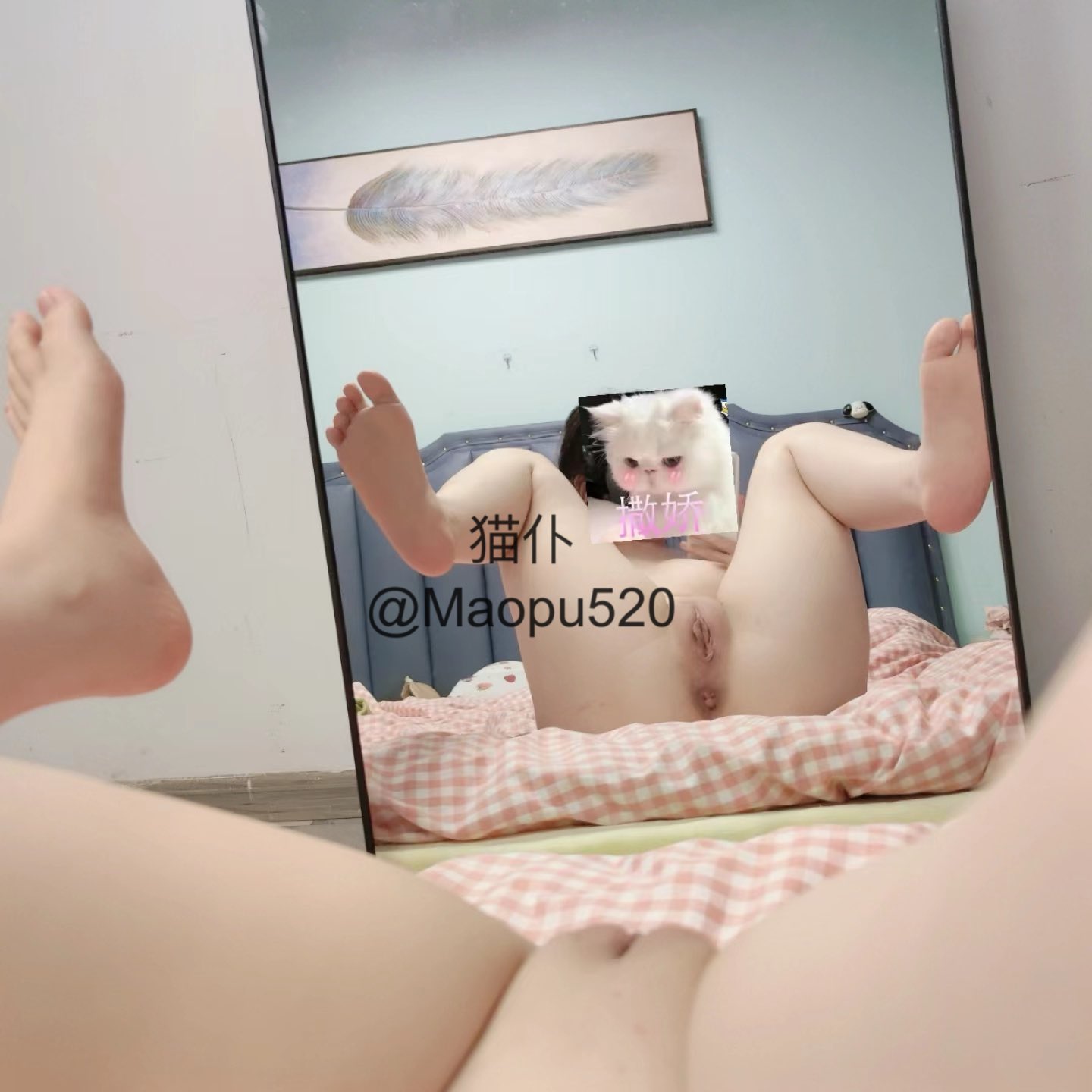 c3e6c53de99f18fa776f3d0439eb7c43_1701827924_6584.jpg c3e6c53de99f18fa776f3d0439eb7c43_1701827924_6584.jpg