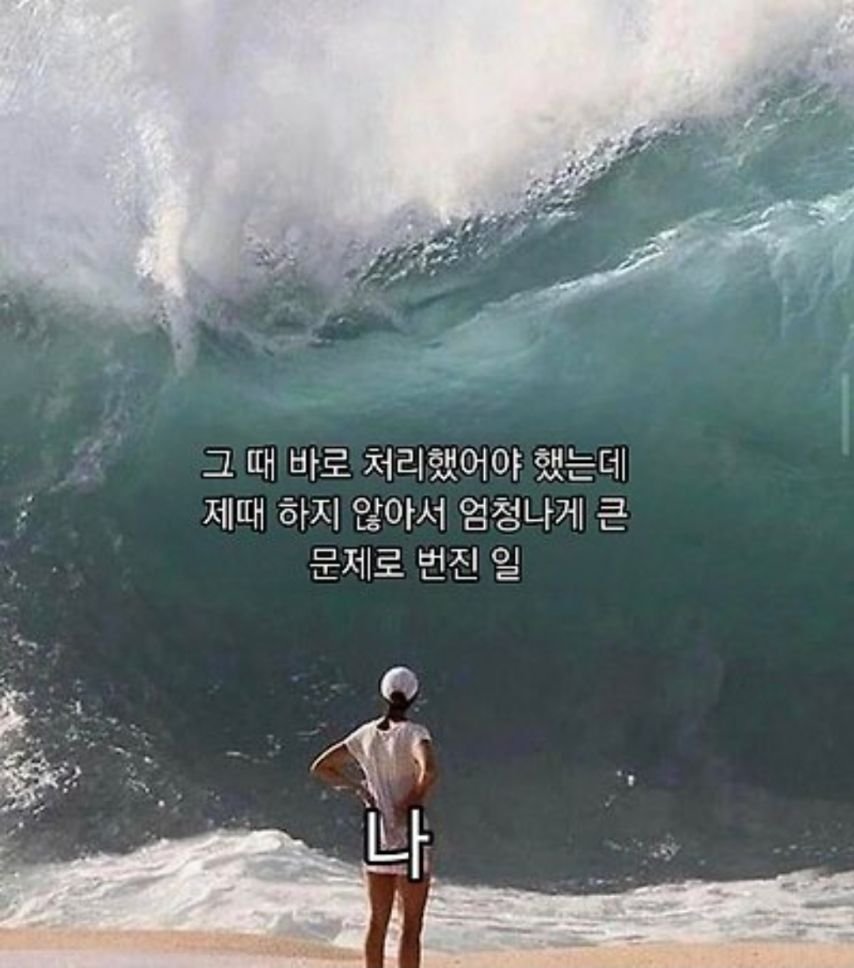 20250507083843_cu4sMqIXBB.jpg?v=7