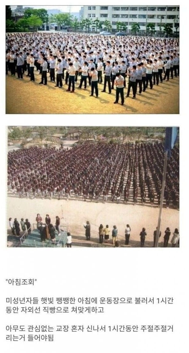 20250507112322_e9CYAVvsMt.jpg?v=7