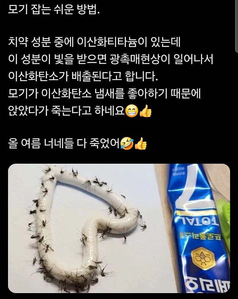 20250507145621_1paWGW6HFj.jpeg?v=7