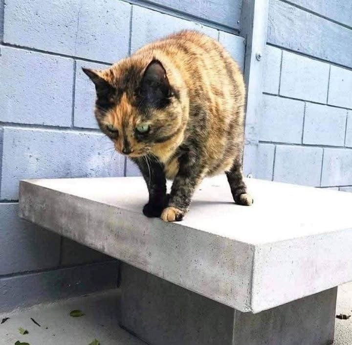 20250508003501_0zNli18isd.jpeg?v=7