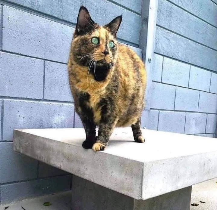 20250508003501_dZv9kRWBWP.jpeg?v=7