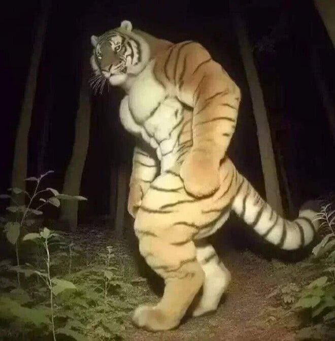 20250508182328_t9hRdcRxIp.jpg?v=7