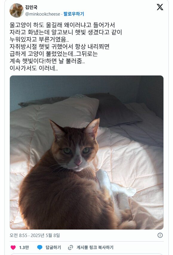 20250509102841_DM7ayJA1PE.png?v=7