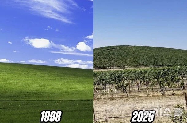 20250509170617_dG4tY5KSRJ.jpeg?v=7