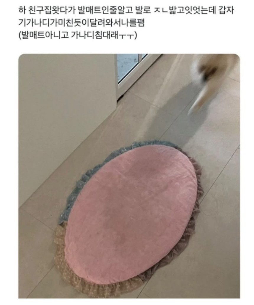 20250509193530_fsvVXOz7Ny.jpeg?v=7