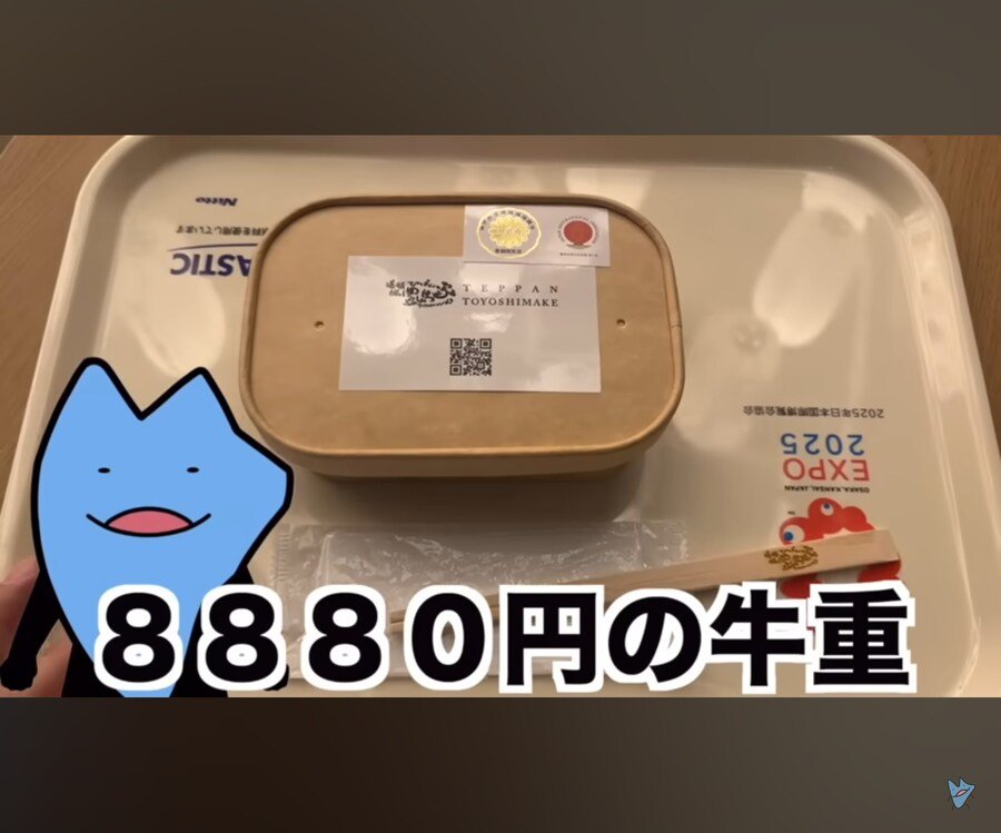 20250510205724_B0vyIOB6Mj.jpg?v=7