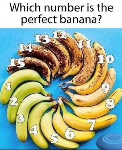 20250511053546_YvUBSLaAlW.jpg?v=7