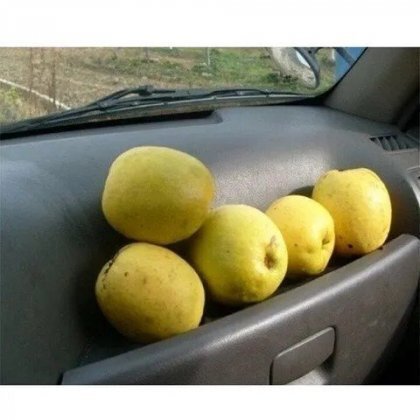 20250511075629_Zf6kgSv2Je.jpg?v=7