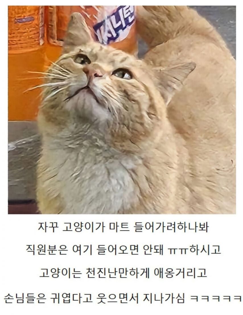 20250512144619_QPwcUiacyQ.jpg?v=7