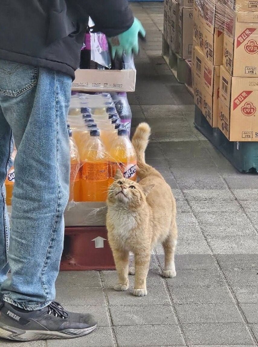 20250512144629_dx3h2en0rA.jpg?v=7