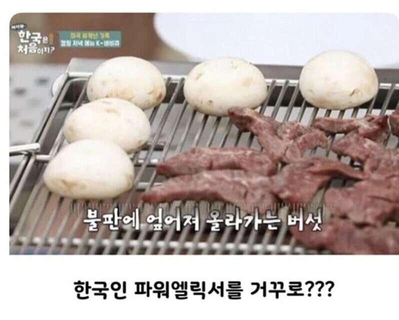 20250512154201_u1jHF9eg1t.jpeg?v=7