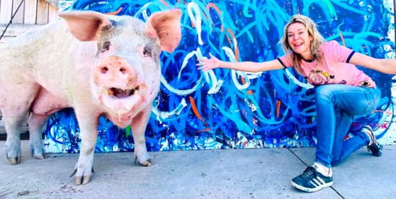 20250512164121_CiJA3vvere.jpg?v=7