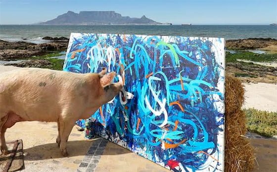 20250512164121_dCR59b2RgK.jpg?v=7