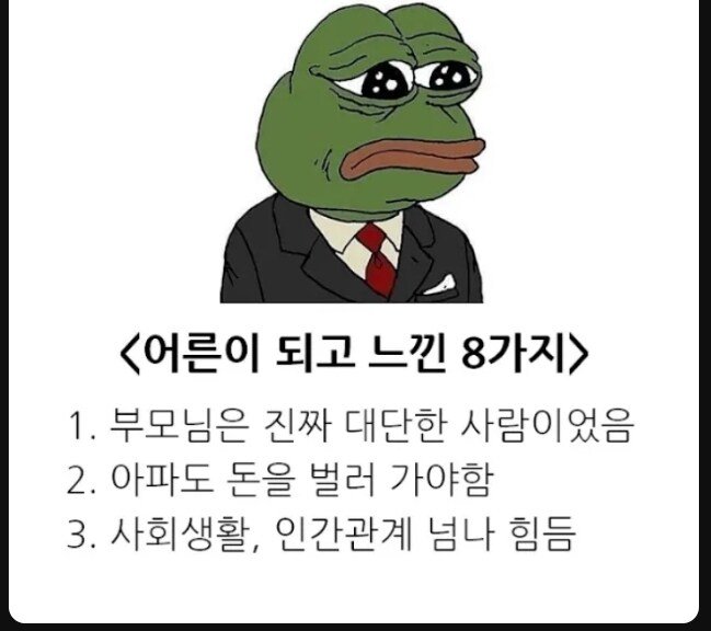 20250513054135_6EFoCZcpBy.jpeg?v=7