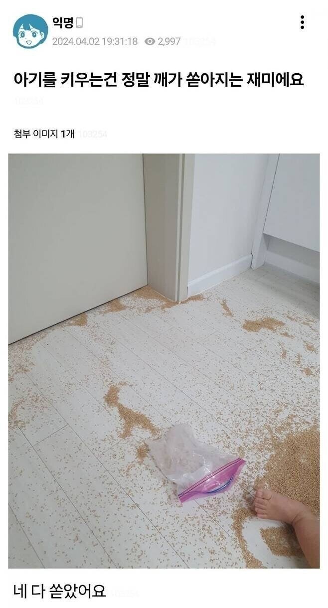 20250514092756_2SwXCtMcWM.jpeg?v=7