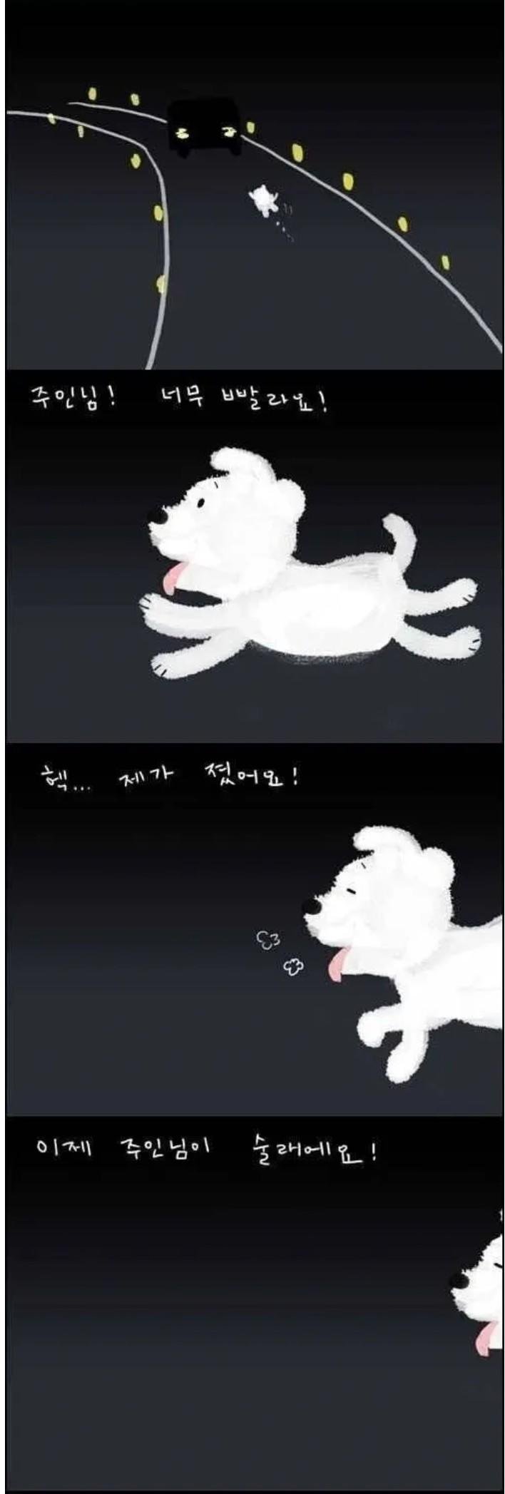 20250514175001_nqY6rSXktt.jpg?v=7