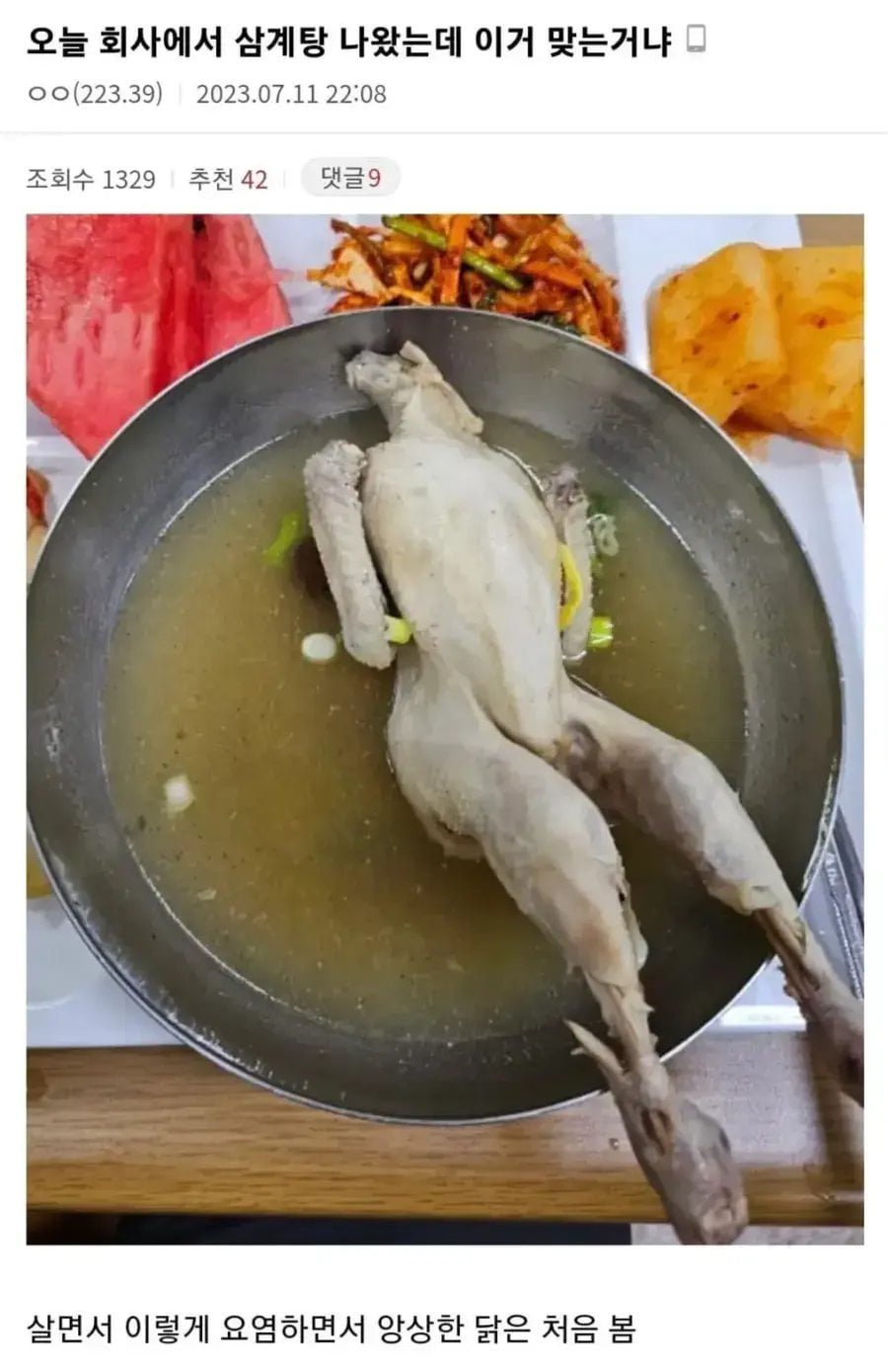 20250514232803_8byTorbM3K.jpg?v=7