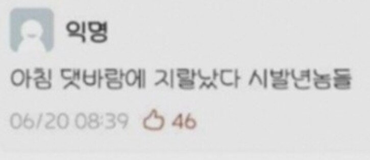 20250515104527_4RxZKPmGsg.jpg?v=7