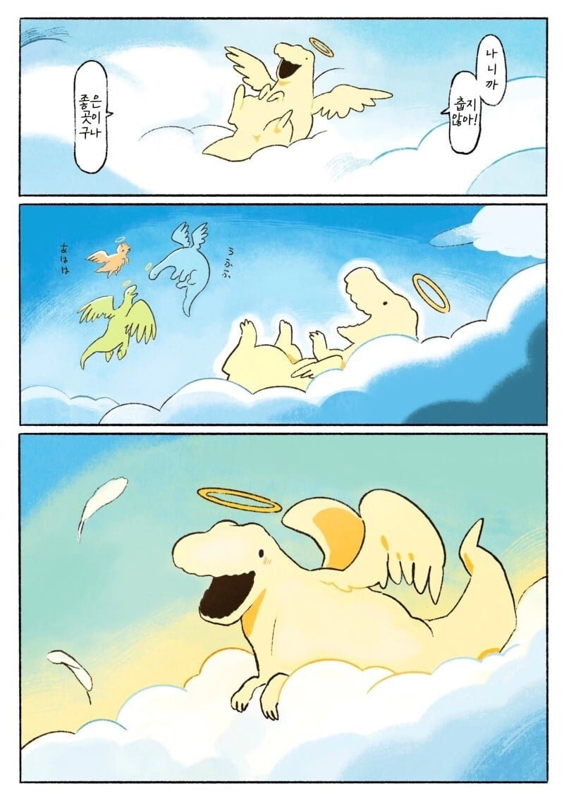 20250515105018_1n0Ikrs5RH.jpg?v=7