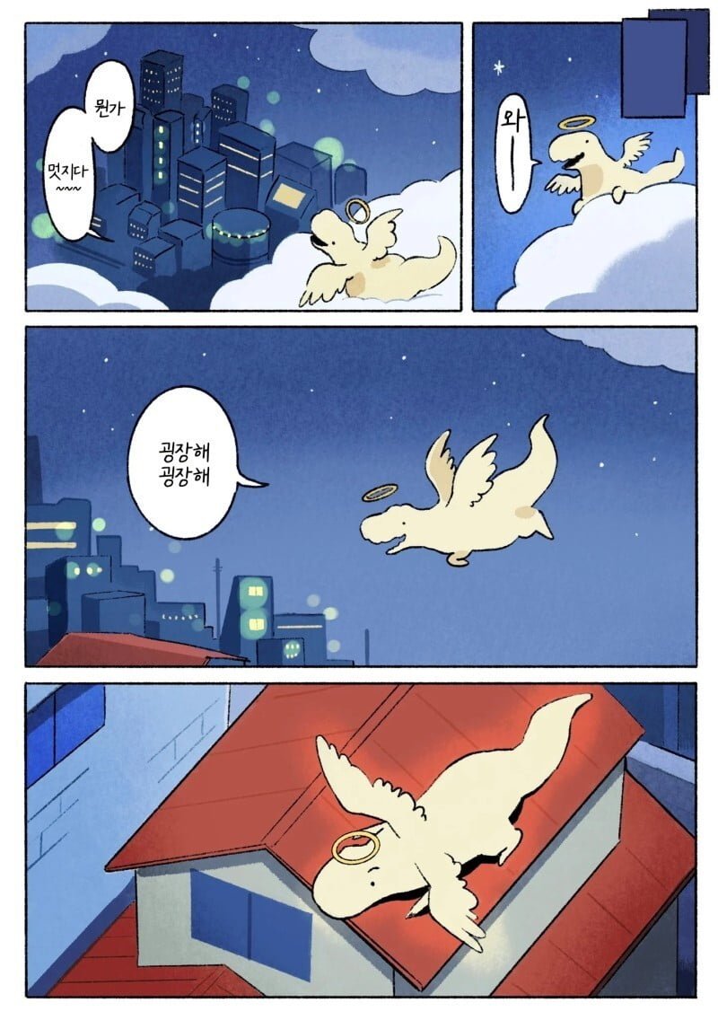 20250515105022_07T3CuyZRY.jpg?v=7