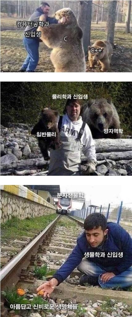 20250515120726_usGIU3PdBf.png?v=7