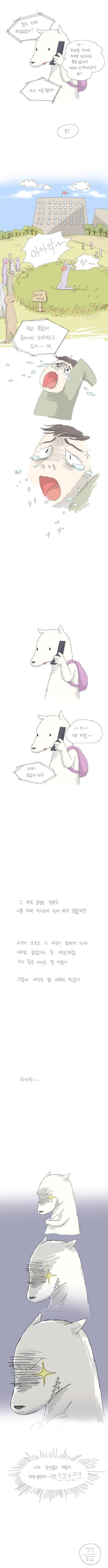 20250515125741_kiDIm6fbYb.jpg?v=7