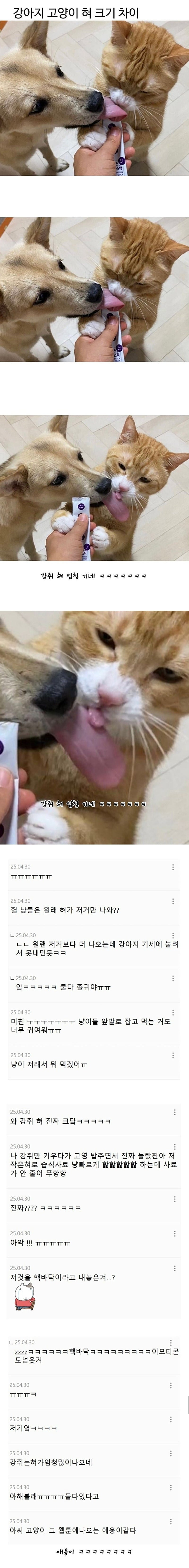 20250515171741_eFmBzLff5l.jpeg?v=7