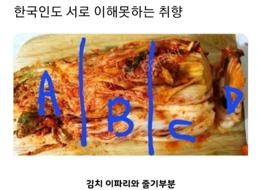 20250515182538_vQt8OOKxCu.jpg?v=7