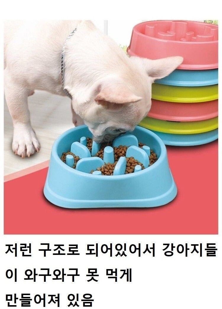 20250515212239_fKWDtz3SPN.jpeg?v=7