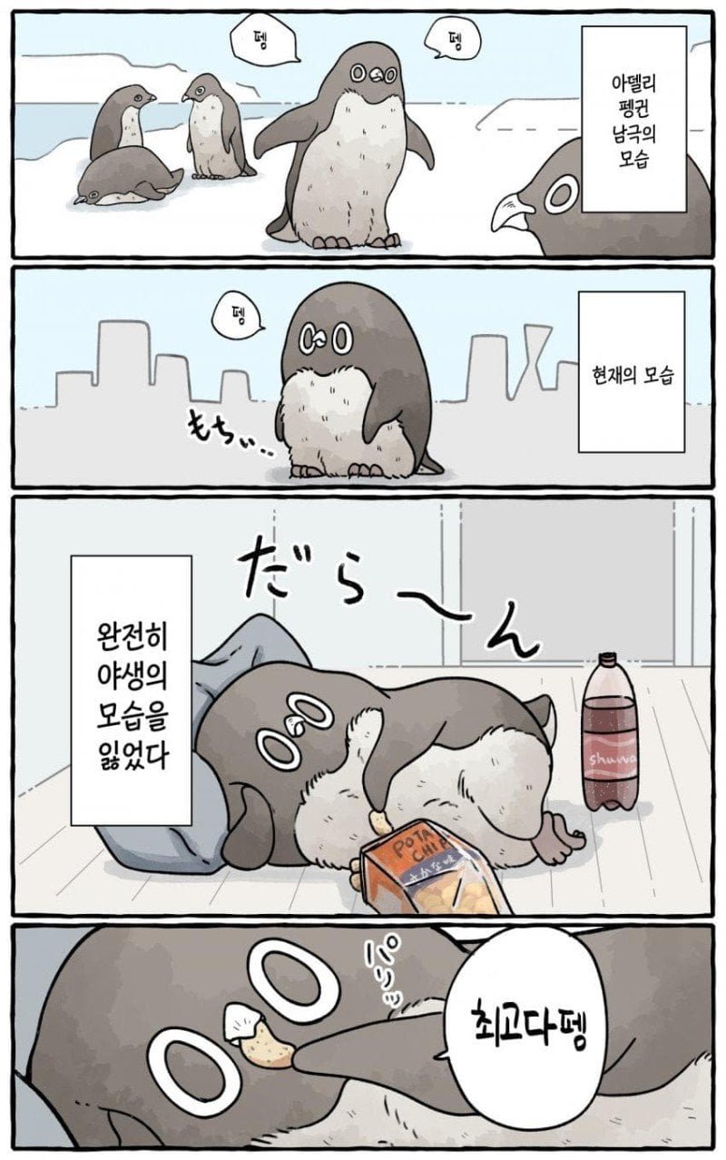 20250515221047_Lkjj049zKz.jpg?v=7