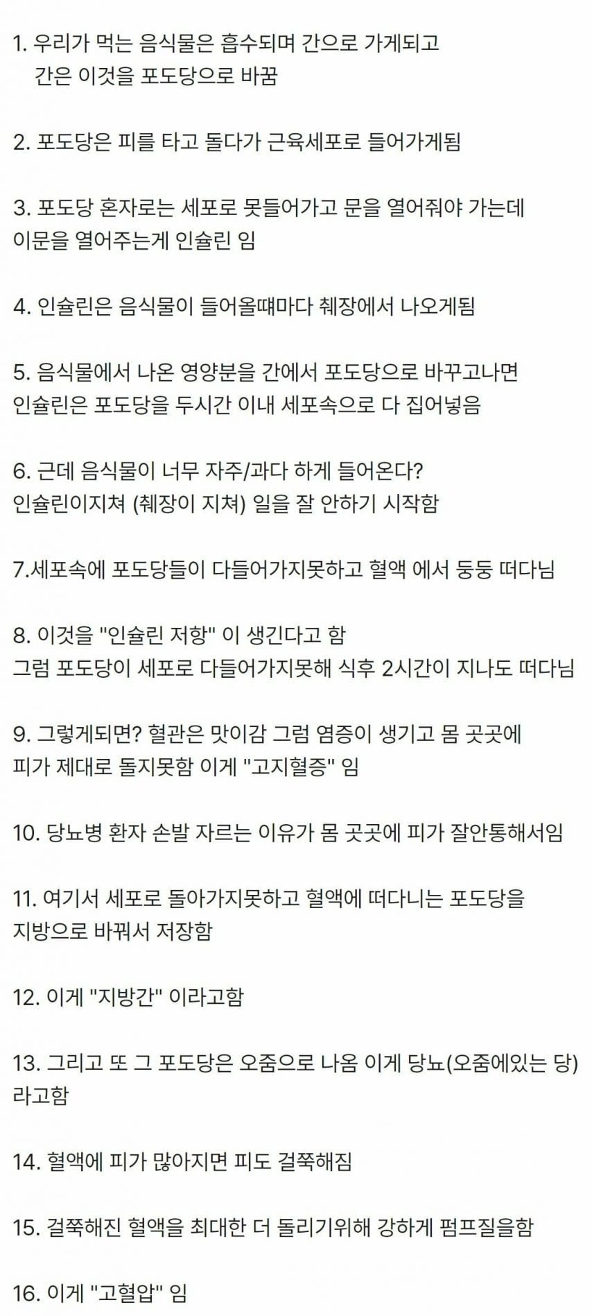 20250516081618_EtZsJMhuj6.jpeg?v=7