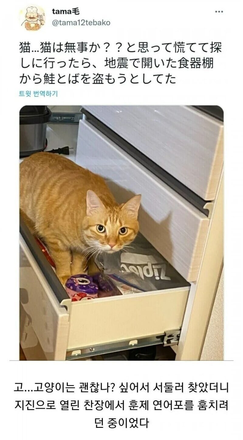 20250518162252_aeXcuDawYa.jpg?v=7