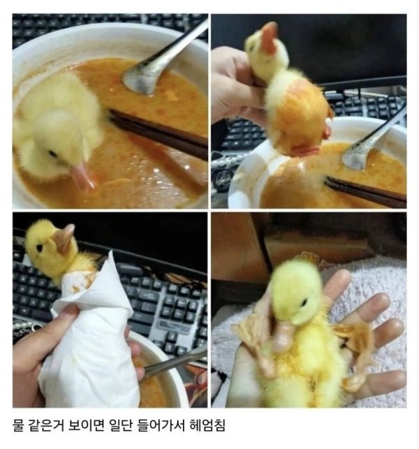 20250519104634_6PGf3PWwoK.jpeg?v=7