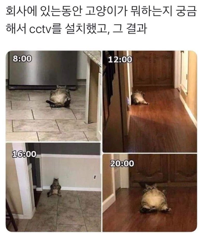 20250521124039_Xn0LUQUHTS.jpeg?v=7