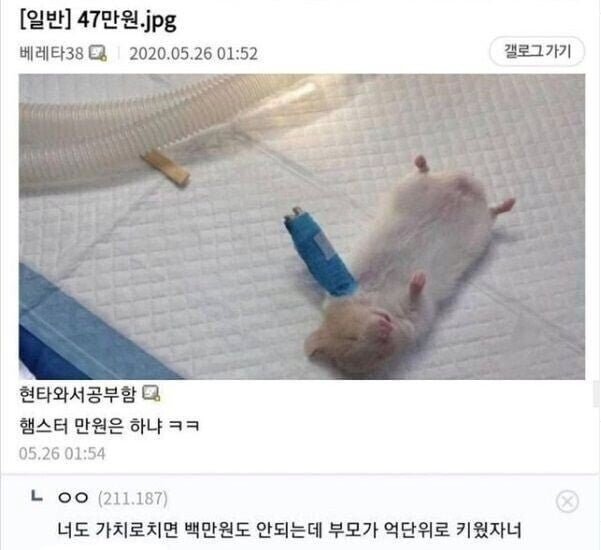 20250522170503_kRaTuD3Ptg.jpeg?v=7
