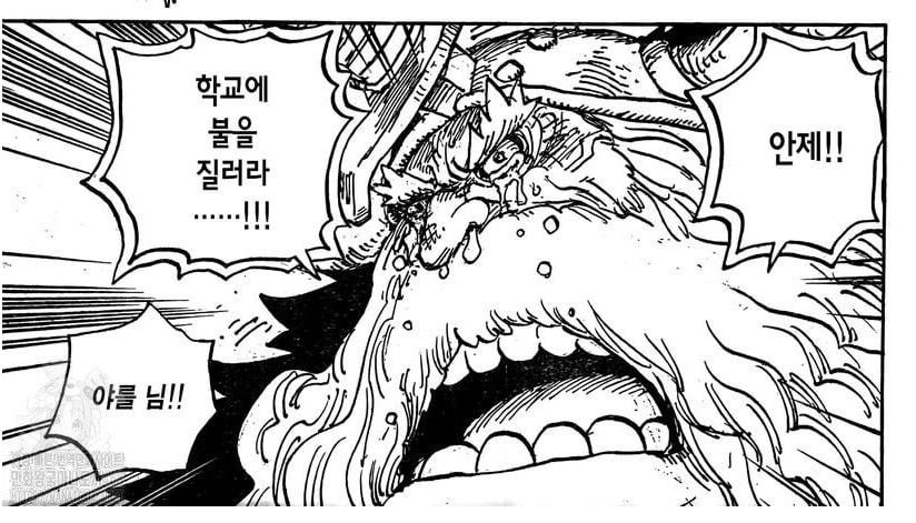 20250523091122_Qmnuk3SsUe.png?v=7