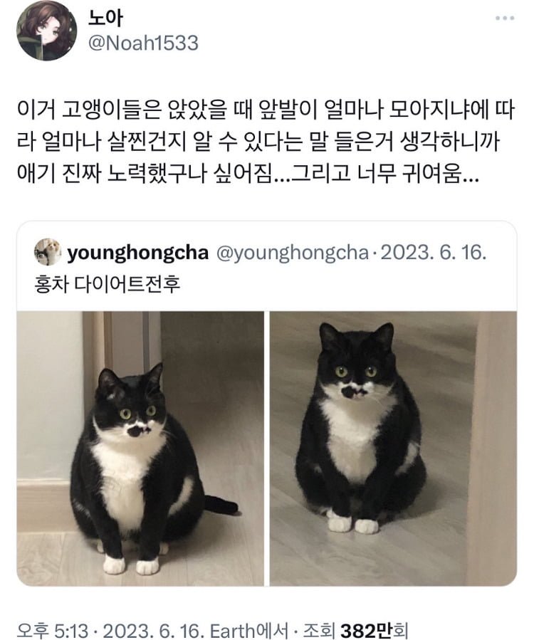 20250523231125_9dfiwnxZZL.jpeg?v=7