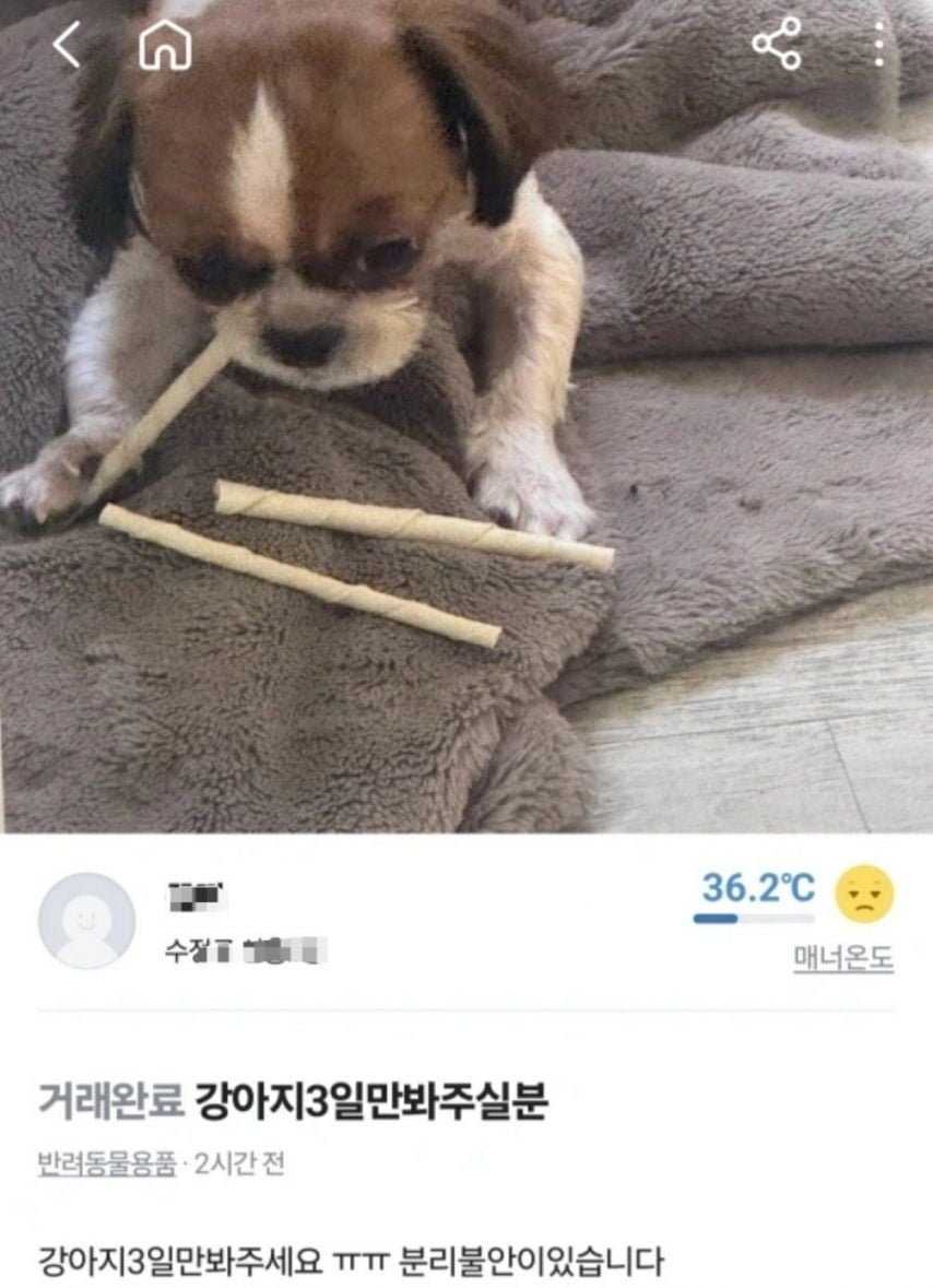 20250524182149_aKoVCN2qg7.jpeg?v=7