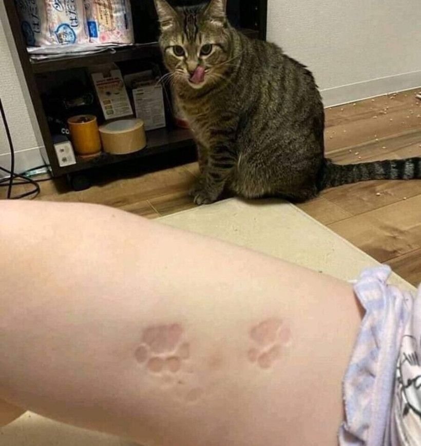 20250525121023_K4Emy56k7h.jpeg?v=7