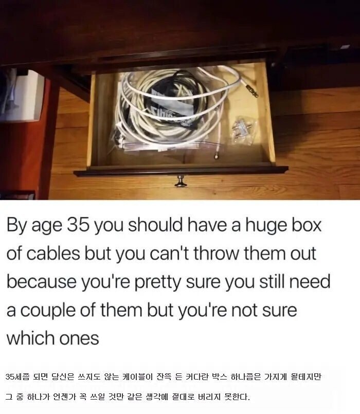 20250526082856_6Sz6F1T2A9.jpg?v=7