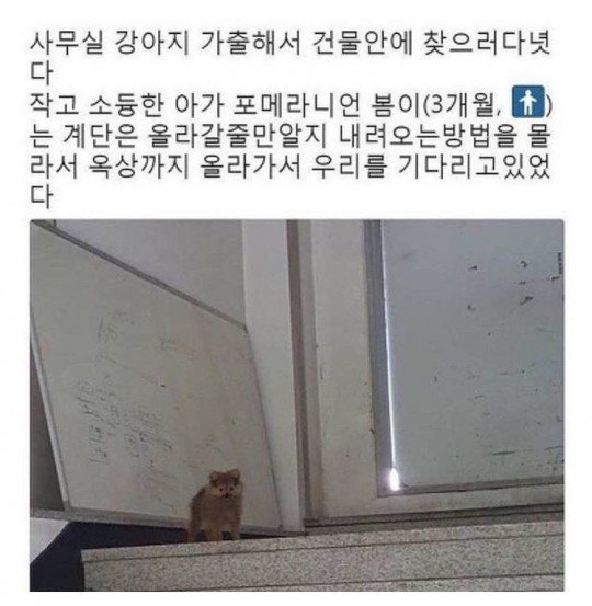 20250526133512_DcDjhqiccJ.jpeg?v=7