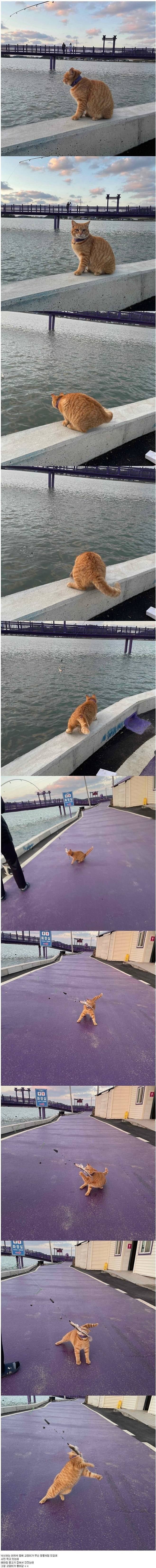 20250526222022_H6FJ7yu3l5.jpeg?v=7