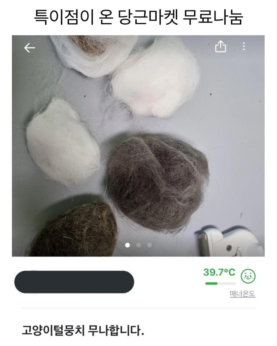 20250528120452_6E7byynsgr.jpeg?v=7