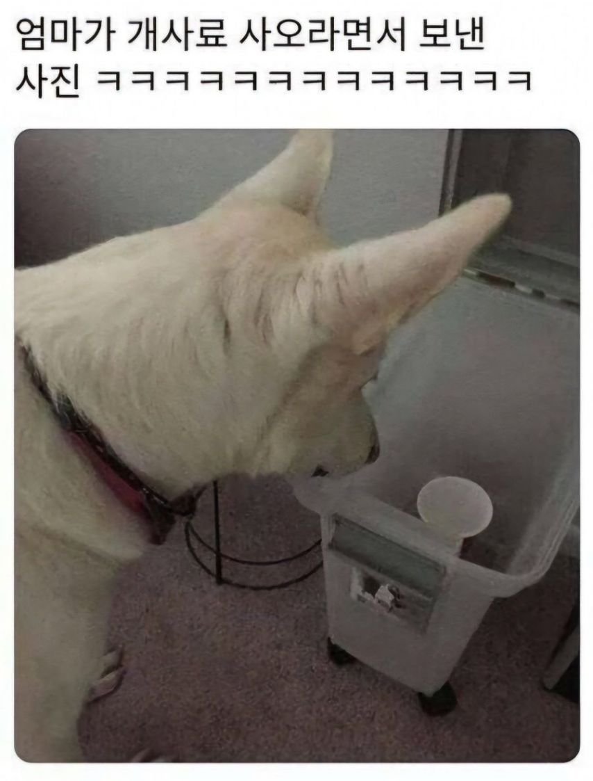 20250528193641_fTIjIBsbEN.jpeg?v=7