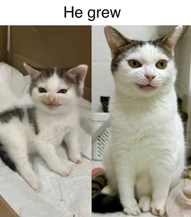 20250529155746_LMRTJSR4f8.jpeg?v=7