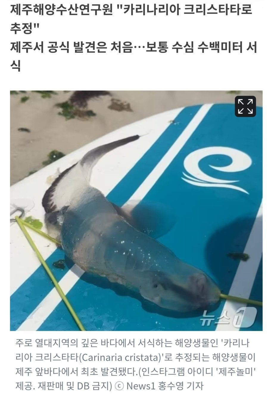 20250529180840_VcW3kFIJ7b.jpg?v=7