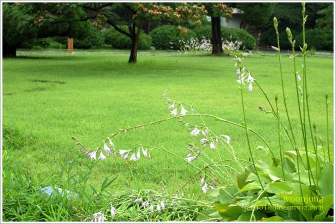 20250530012259_cRQ9MbkkNg.jpg?v=7