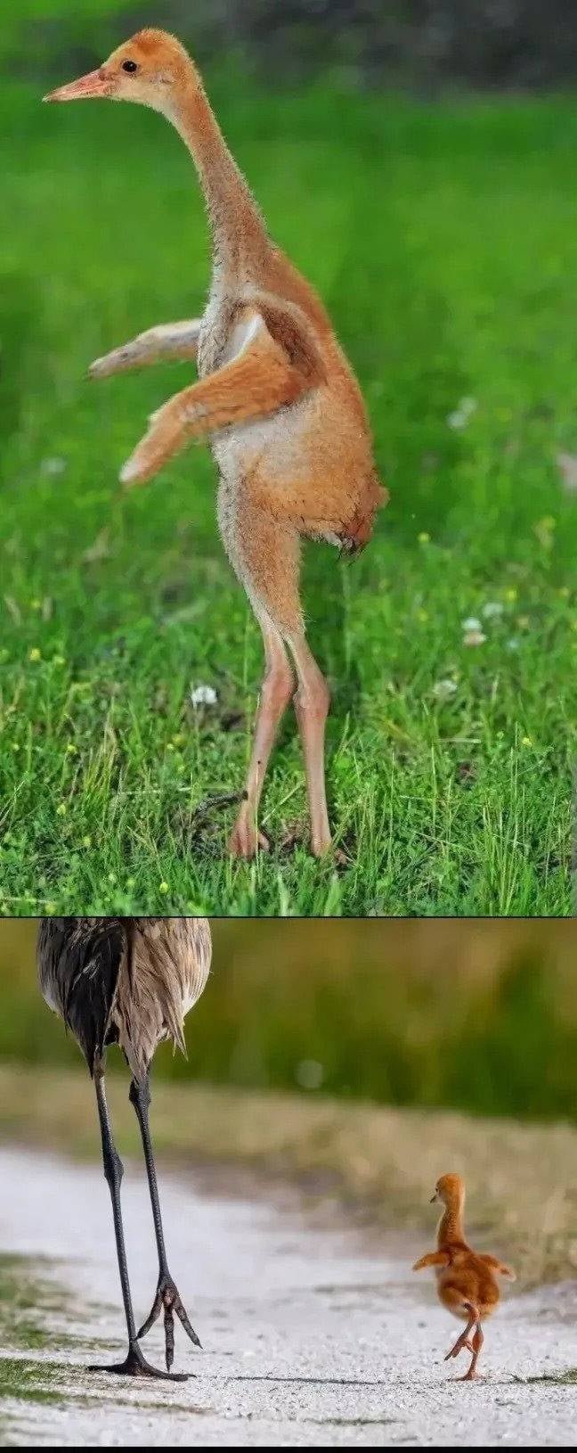 20250530103518_qMRdfh9yUj.jpeg?v=7