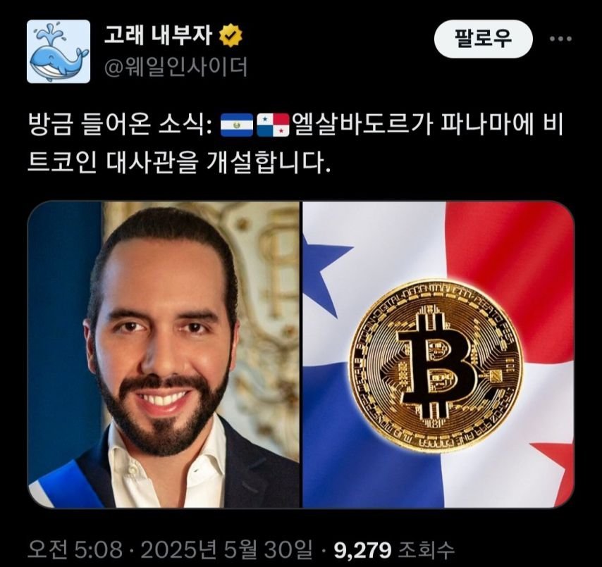 20250530103959_azSIOYtKpm.jpg?v=7